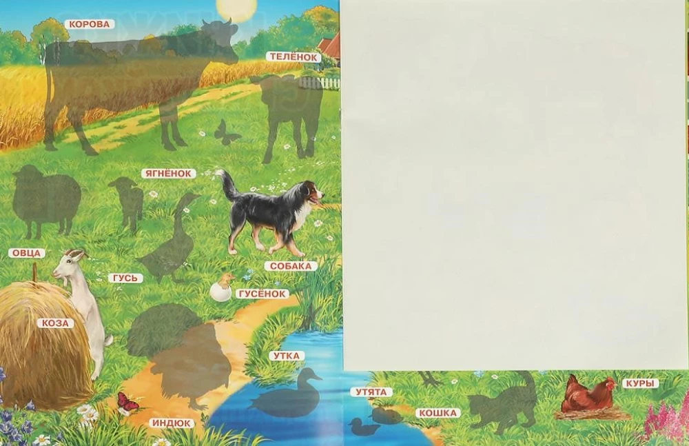 Sticker Book Domestic Animals