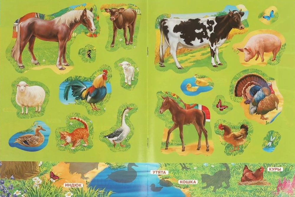 Sticker Book Domestic Animals