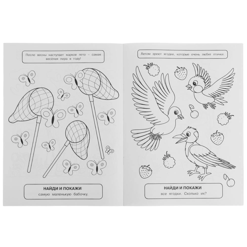 Coloring Book with Developmental Tasks Seasons