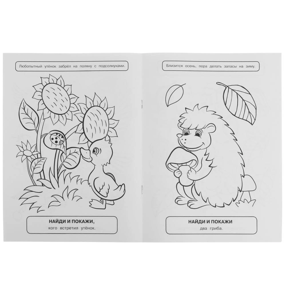 Coloring Book with Developmental Tasks Seasons
