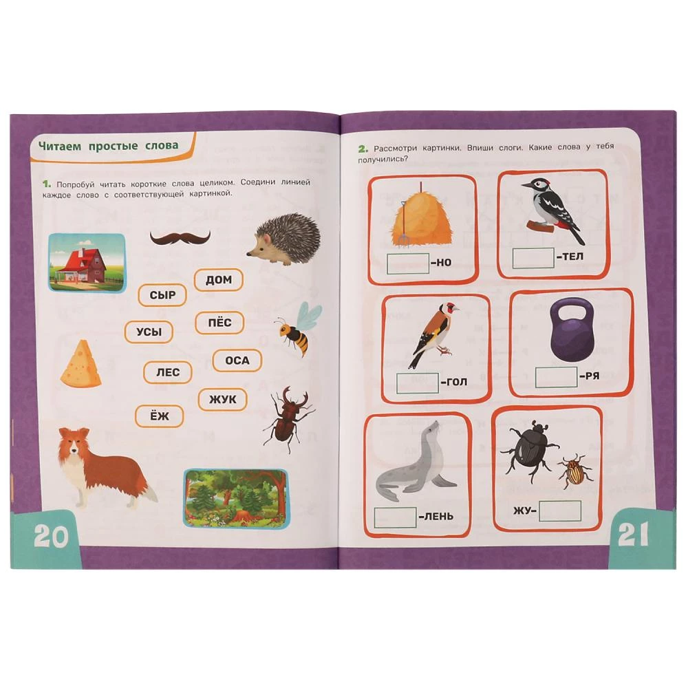 IQ Trainer for School Preparation
