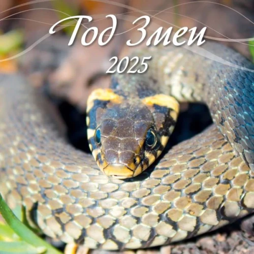 Wall calendar for 2025. Year of the Snake