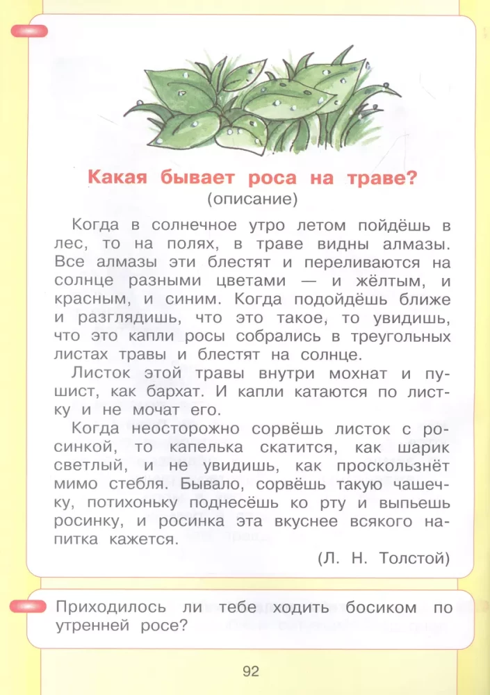Alphabet. My First Textbook