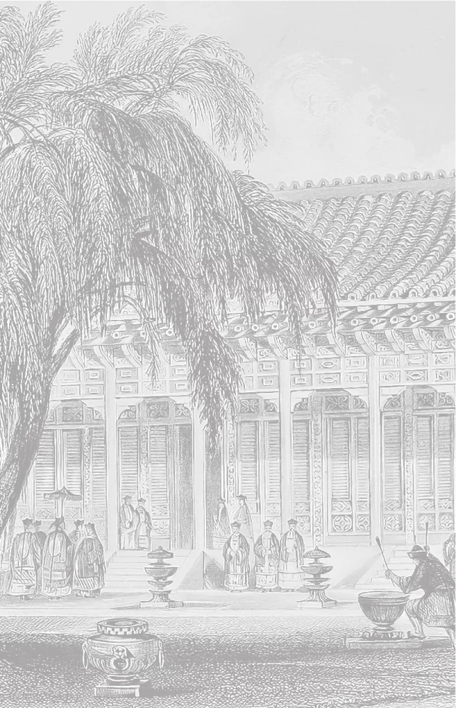 The Qing Dynasty. The Decline of the Chinese Empire