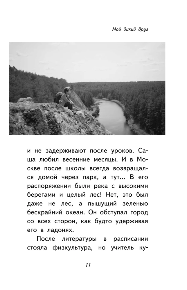 My Wild Friend