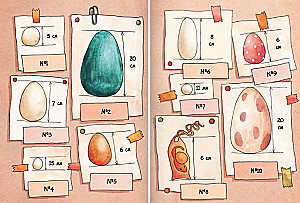 Detectives Pete and Bob. Whose Egg?
