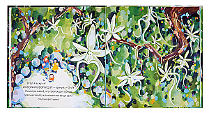 The Phantom Orchid