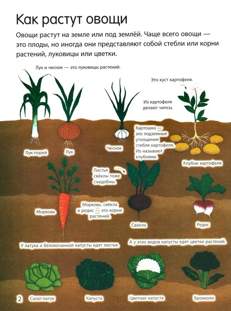 What We Eat (with Stickers)