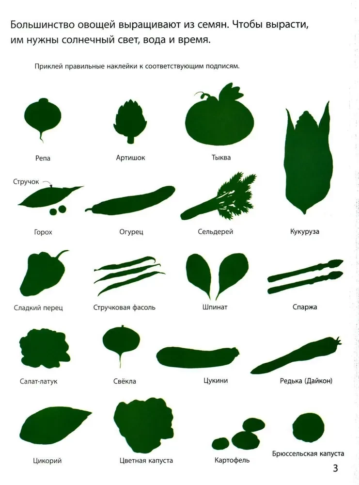 What We Eat (with Stickers)