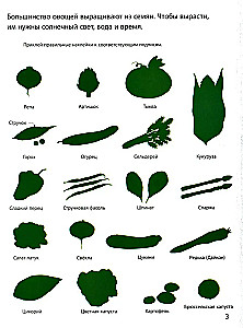 What We Eat (with Stickers)