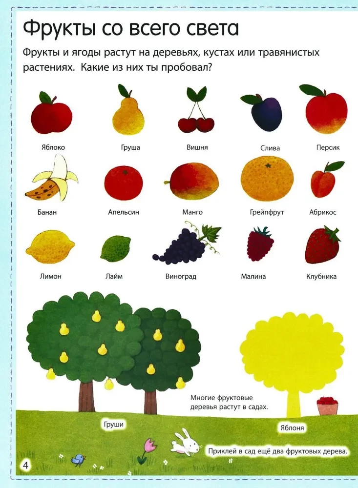 What We Eat (with Stickers)