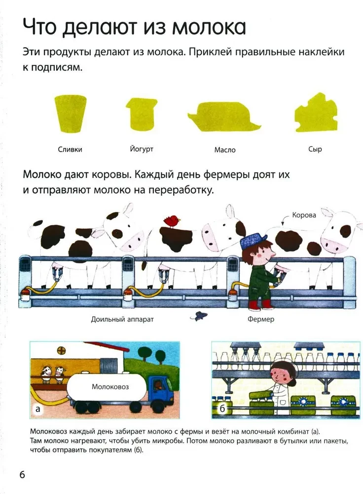 What We Eat (with Stickers)