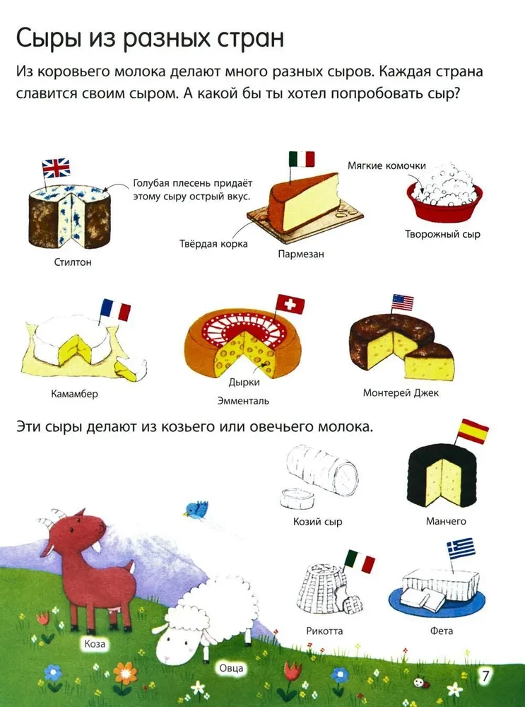 What We Eat (with Stickers)