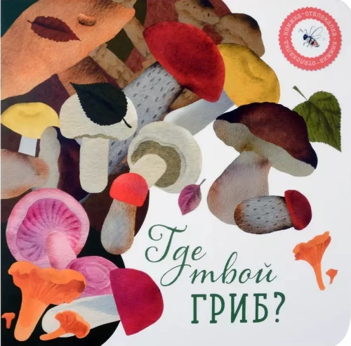 Where is your mushroom?