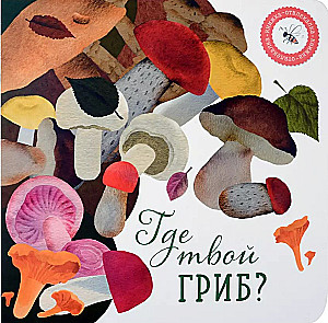 Where is your mushroom?