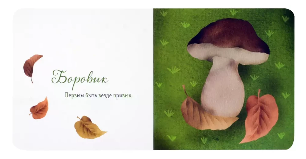 Where is your mushroom?