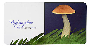 Where is your mushroom?