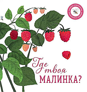 Where is your raspberry?