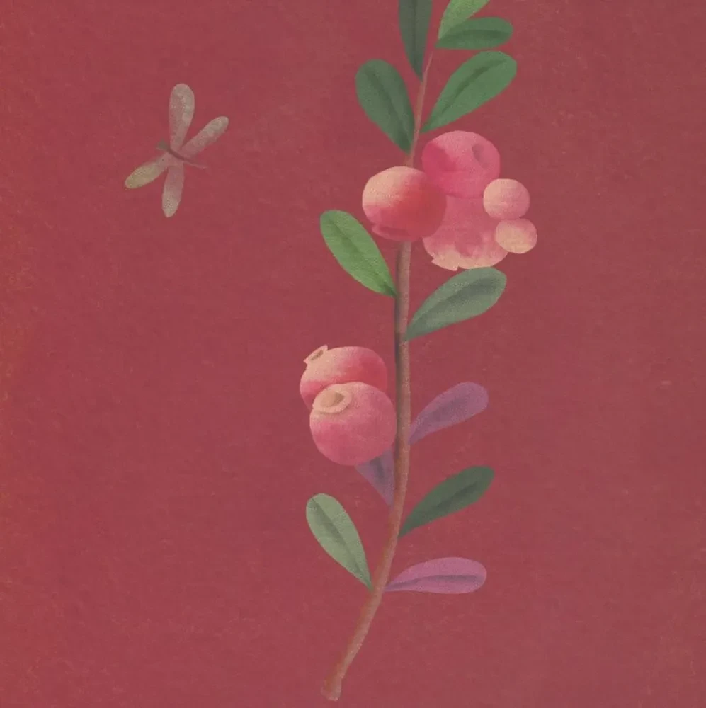 Wo ist deine Himbeere?