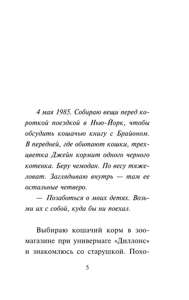 Wewnętrzny kot