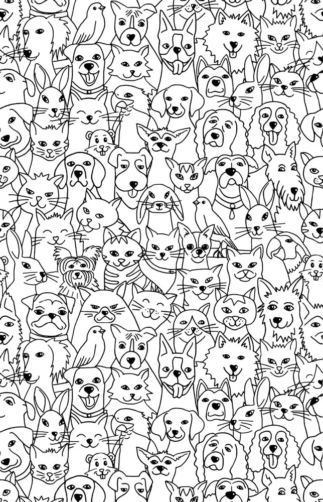 Find Your Kitty. A Coloring Book for Object Finding