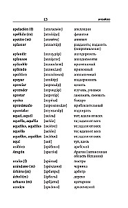 Spanish-Russian Russian-Spanish Dictionary with Pronunciation for Beginners