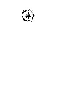 Fairy-Killer. Book 2
