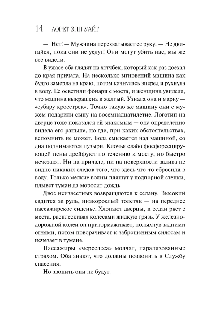 The Handmaid's Diary