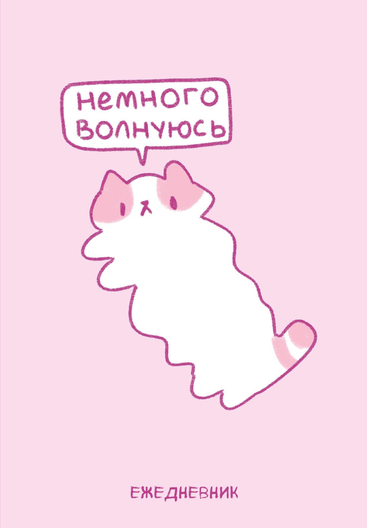 A5 Diary - Pancakes. A Little Nervous