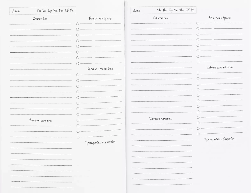 A5 Organizer - Dear Diary. Cat Tourists