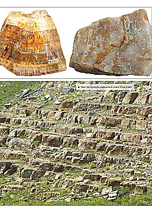 The Great Book of Minerals and Stones. 1001 Photographs