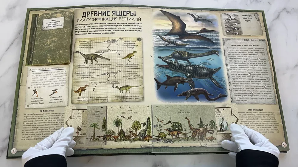 Dinosaurs