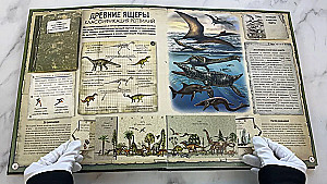 Dinosaurs
