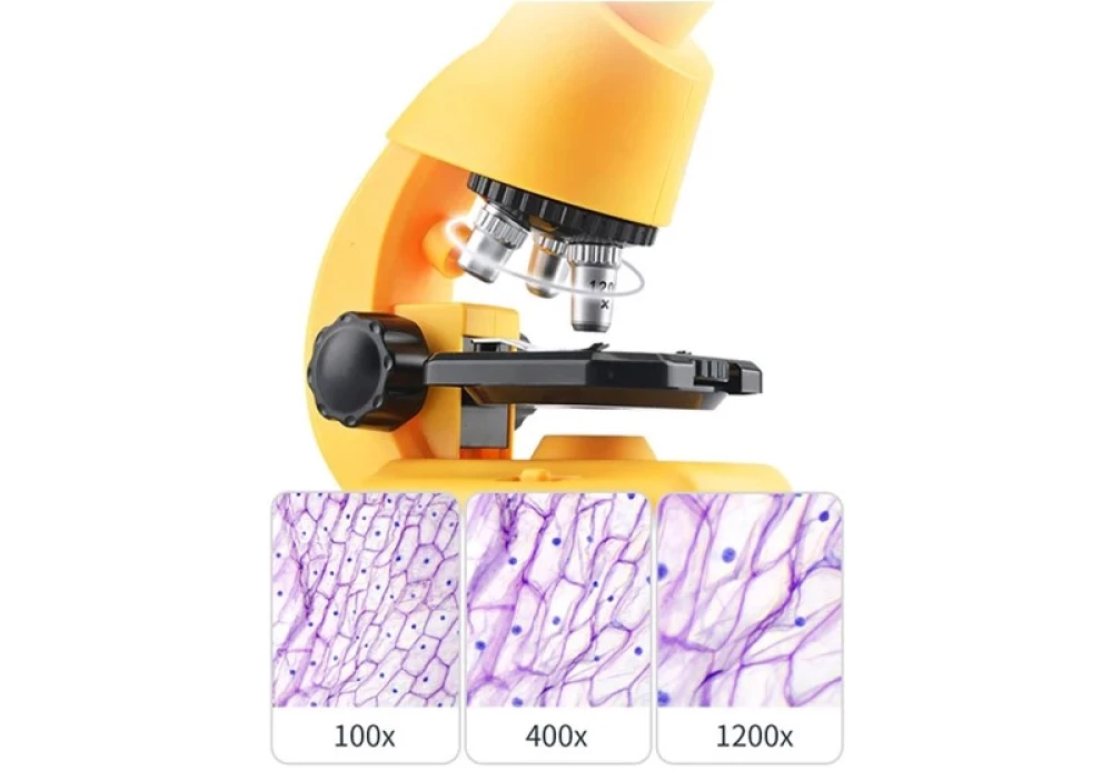 Microscope