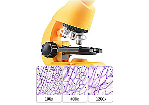 Microscope