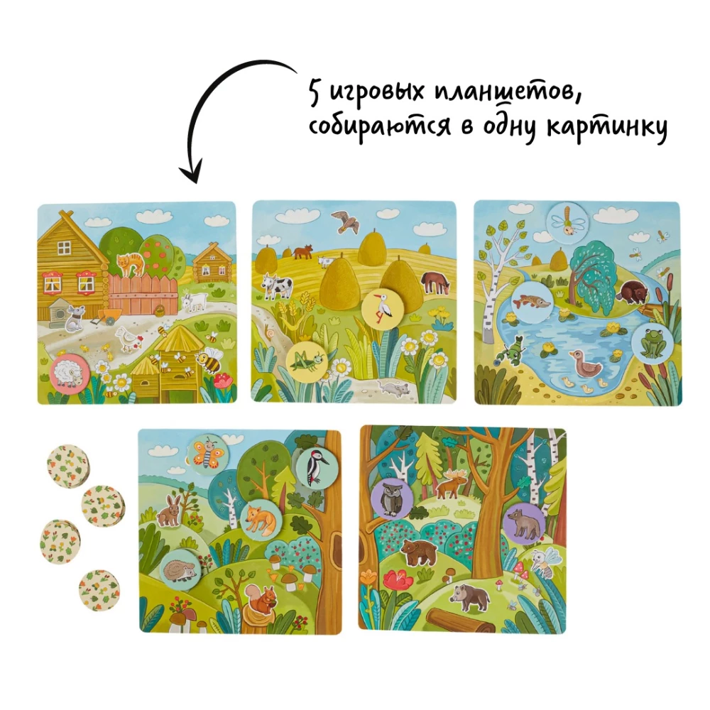 Board Game - Lotto. Native Land