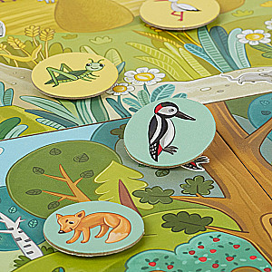 Board Game - Lotto. Native Land