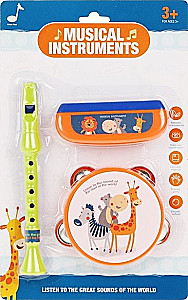 Musical Instrument Set