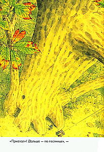 Daily Set. 14 Forest Mice: Breakfast. Washing. Dinner with the Moon. Lullaby (set of 4 books)