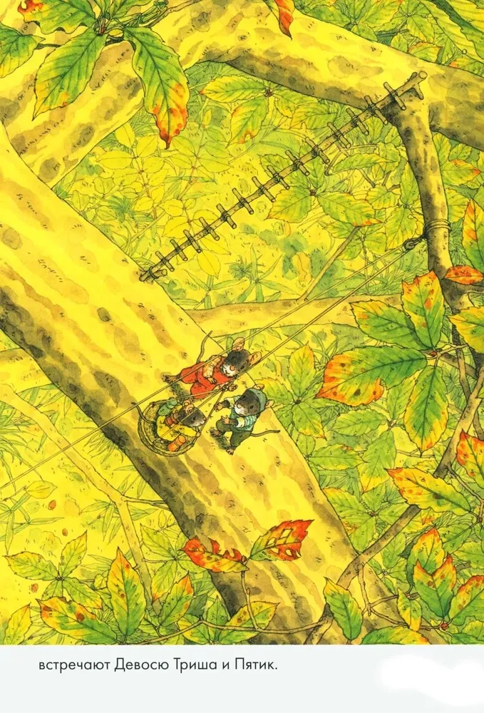 Daily Set. 14 Forest Mice: Breakfast. Washing. Dinner with the Moon. Lullaby (set of 4 books)