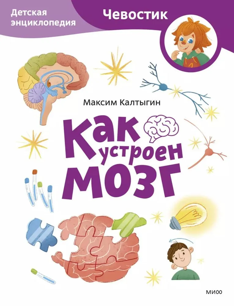 Как устроен мозг. Детская энциклопедия (Чевостик)