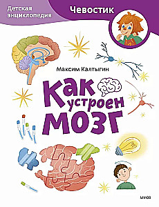 Как устроен мозг. Детская энциклопедия (Чевостик)