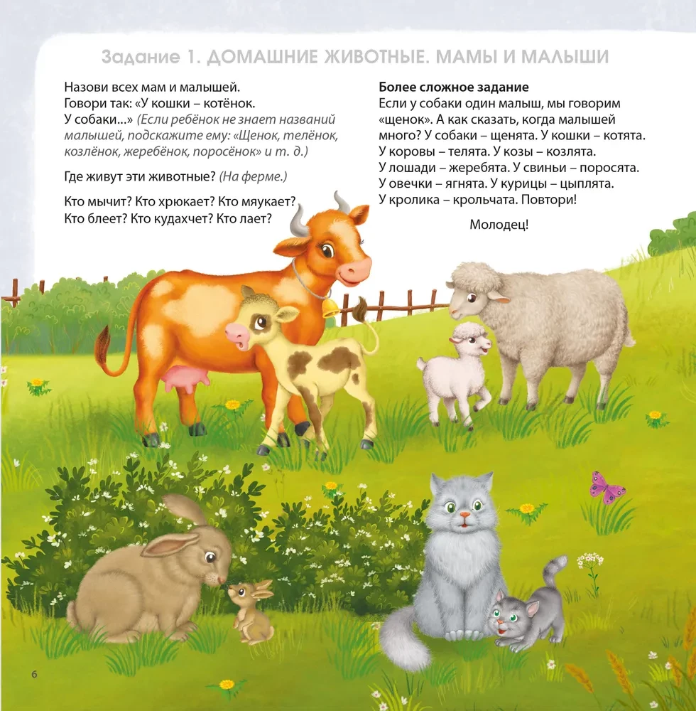 Brain Development Album. 3+. 100 Effective Tasks and Games