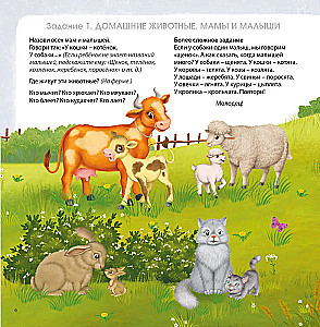 Brain Development Album. 3+. 100 Effective Tasks and Games
