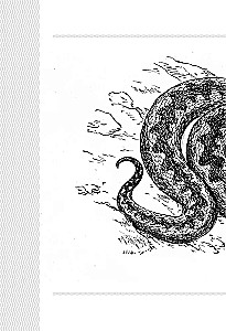 Schlangen. Mystische Tiere und was sie von anderen unterscheidet