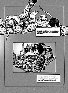Frankenstein. Mary Shelley. Graphic Novel