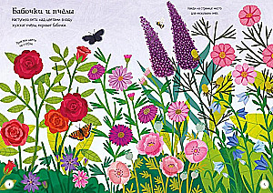 Beautiful Flowers