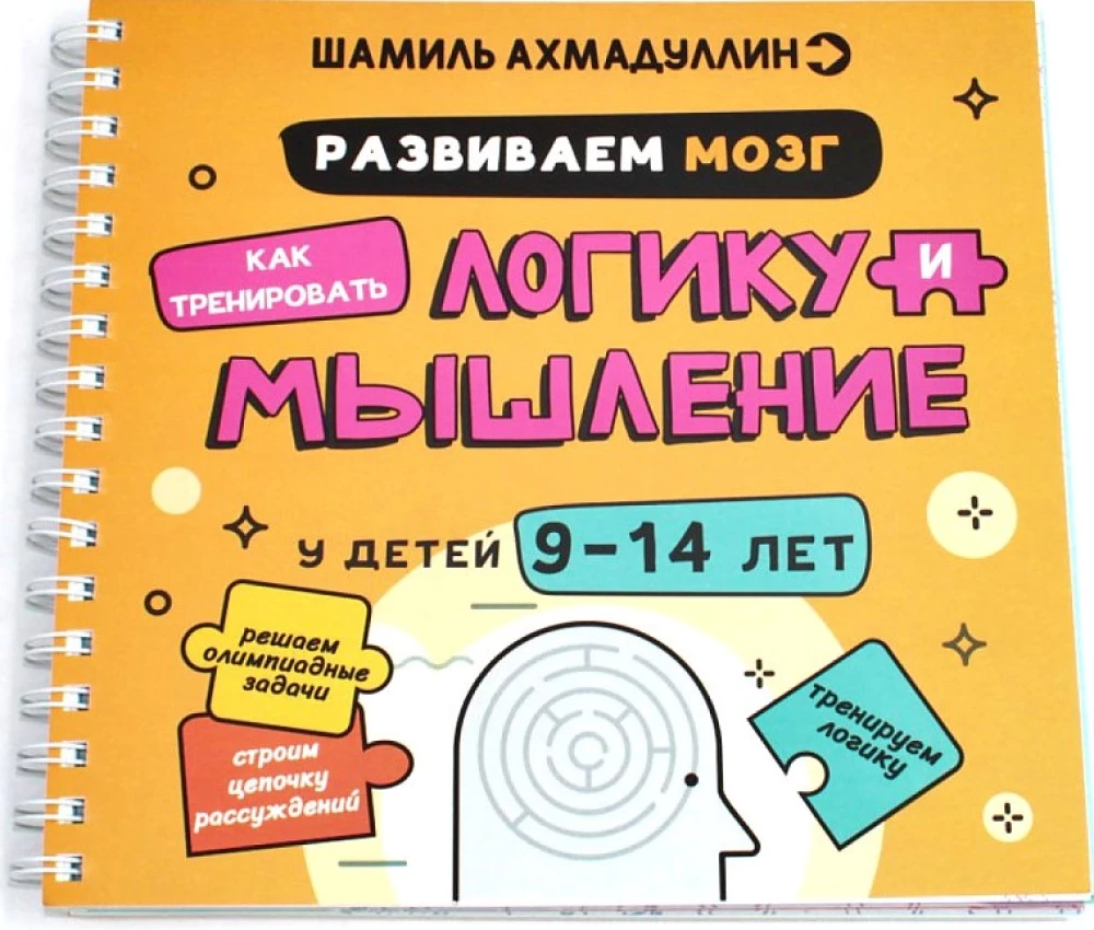 Vystome smegenis. Kaip ugdyti loginį mąstymą ir racionalų mąstymą vaikams nuo 9 iki 14 metų