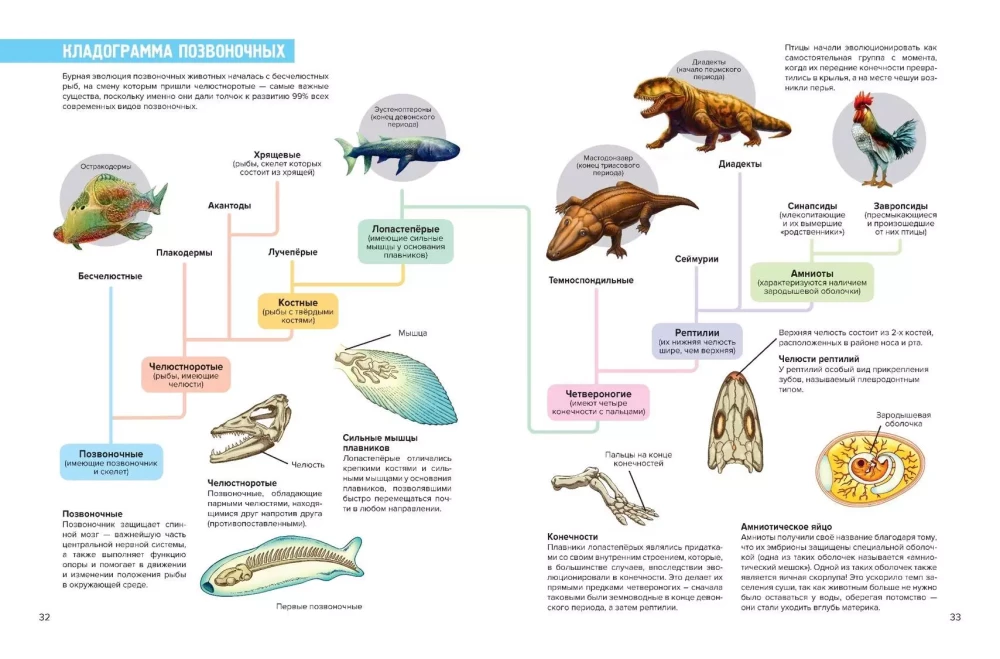 Prehistoric Pioneers. Episode 2. Silurian and Devonian Waters