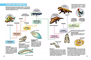 Prehistoric Pioneers. Episode 2. Silurian and Devonian Waters